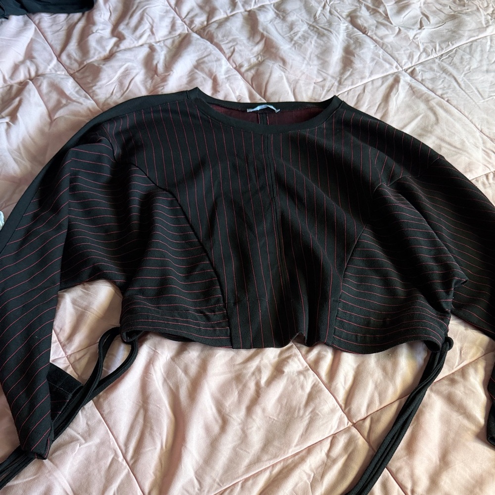 Zara Black and Red Striped Crop Top